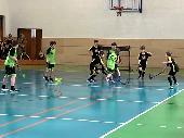2025-02-28 Florbal